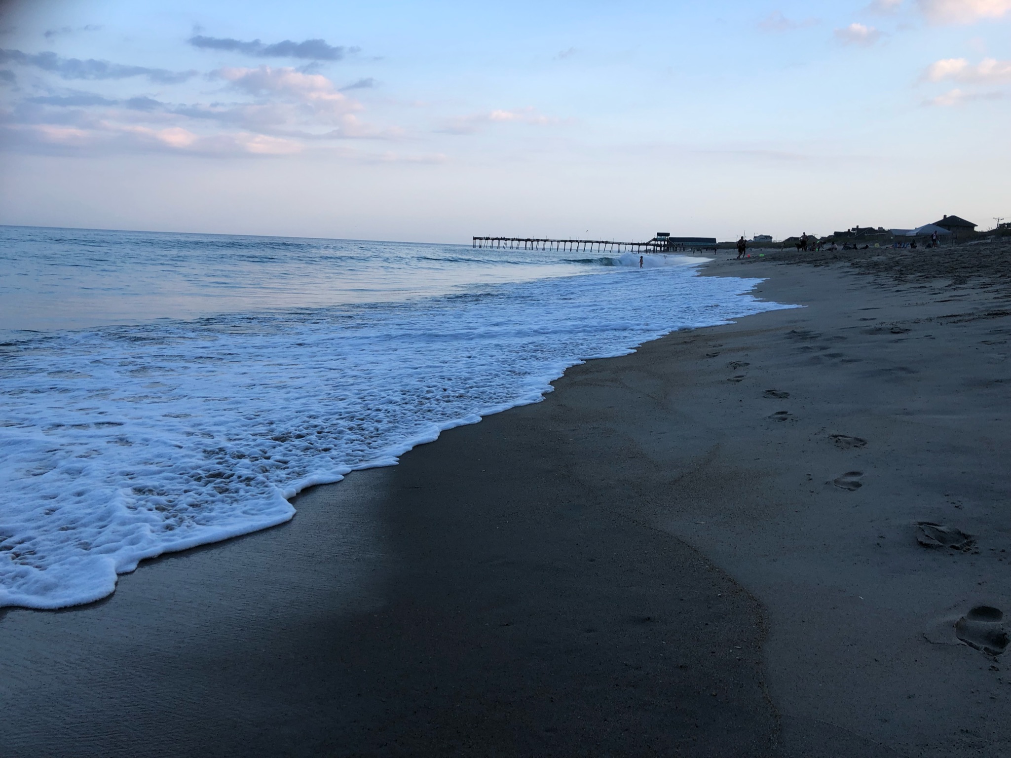 Between Oceans and Forests: Lessons from Nature’s Landscapes